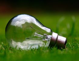 Ampoule dans l'herbe