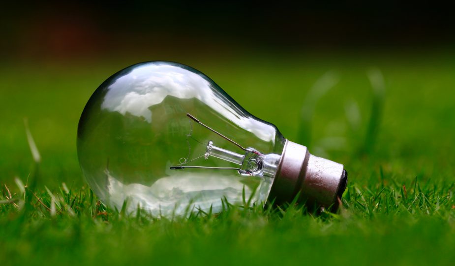 Ampoule dans l'herbe